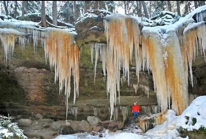 Podkrovni Tereza *